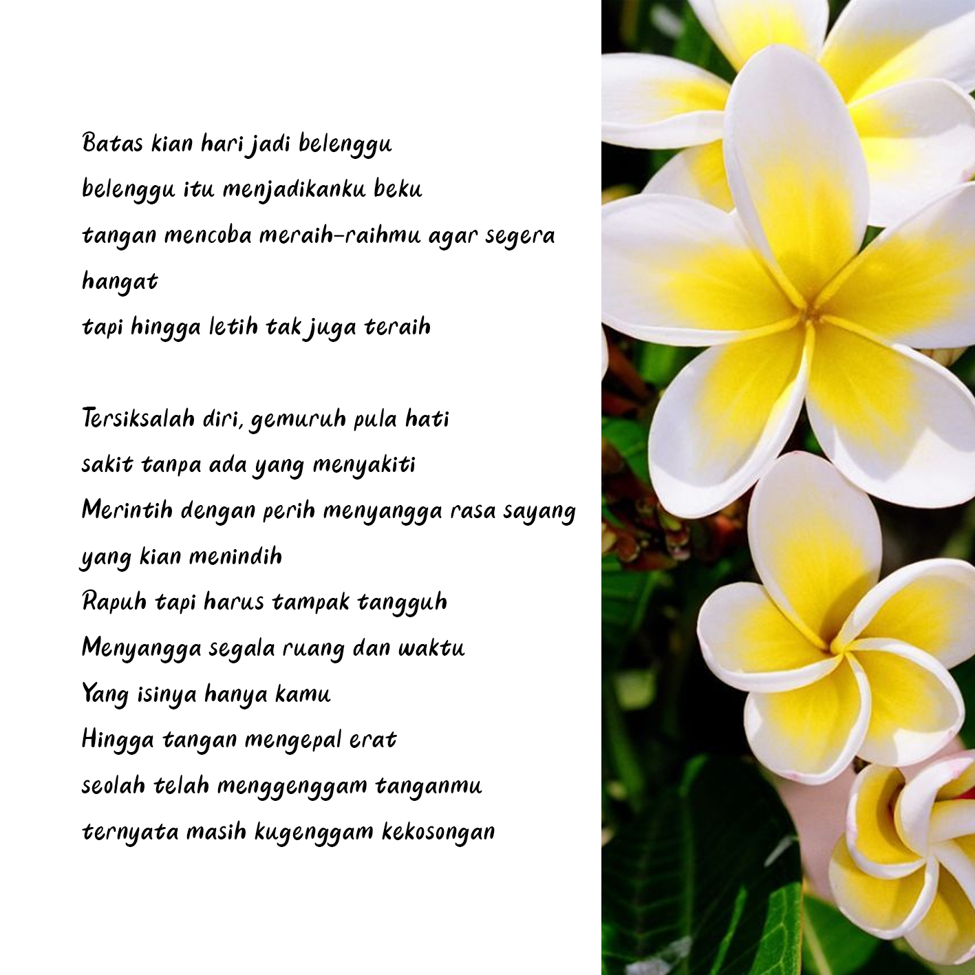 Detail Puisi Tentang Tanaman Bunga Nomer 22