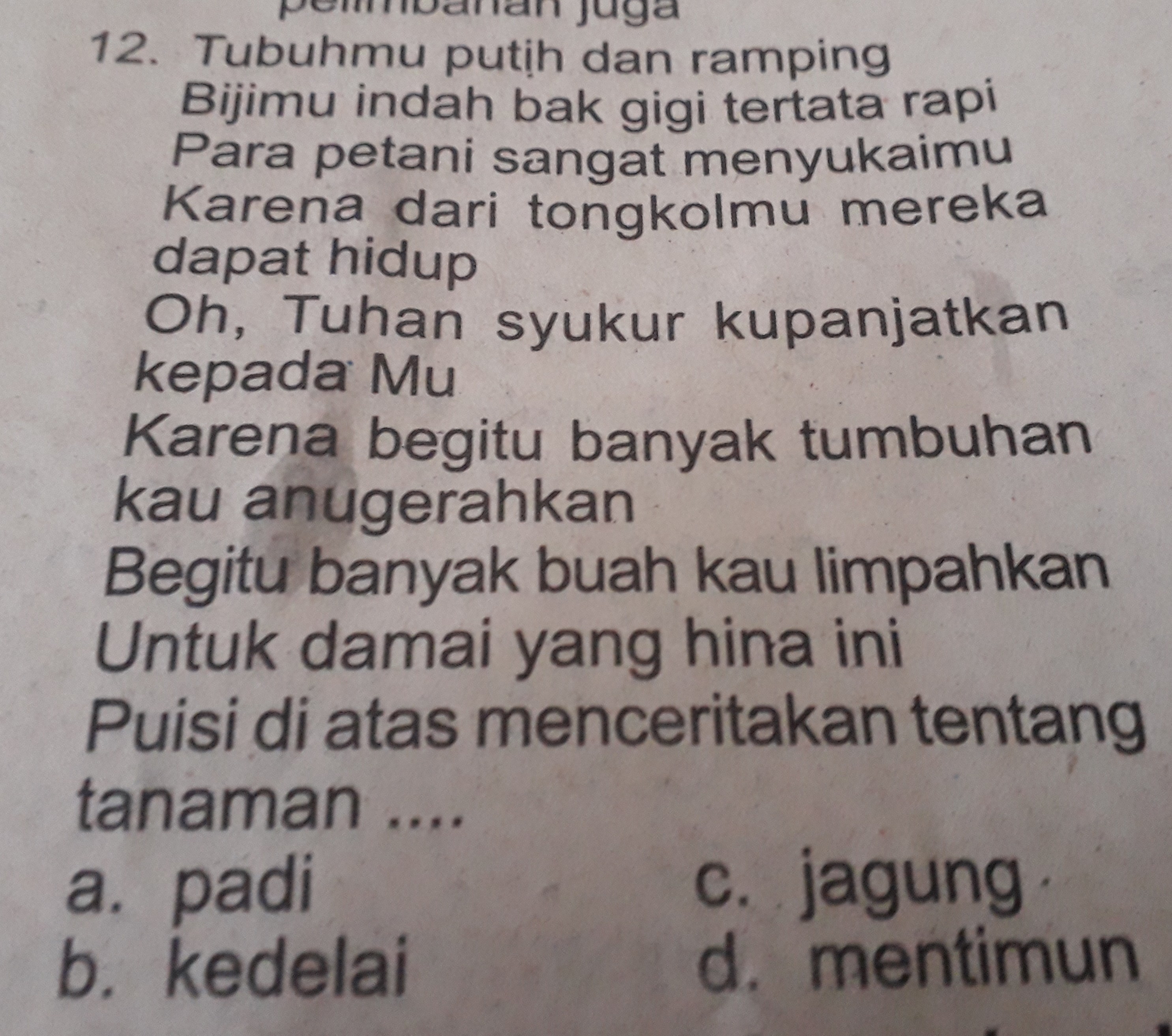 Detail Puisi Tentang Tumbuhan Nomer 21