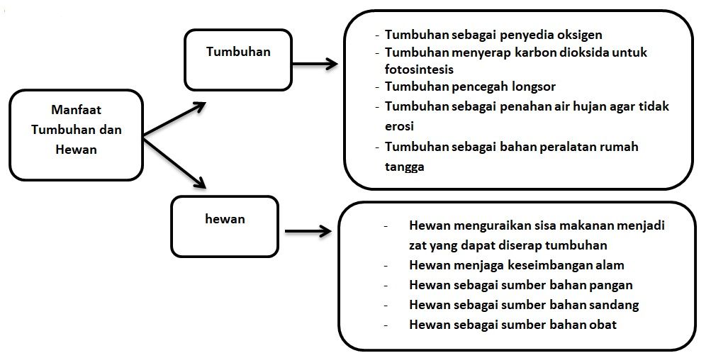 Detail Puisi Tentang Tumbuhan Dan Hewan Nomer 45