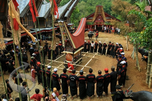 Detail Puisi Toraja Lengkap Nomer 20