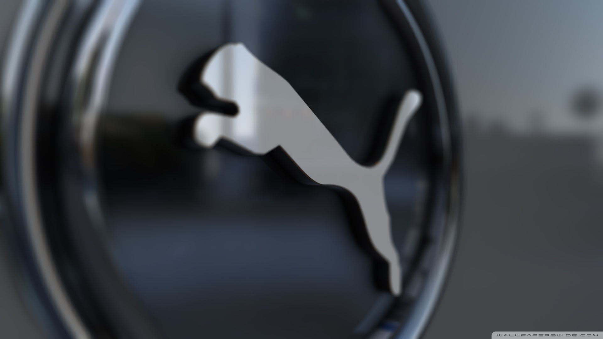 Detail Puma Wallpaper Hd Nomer 43