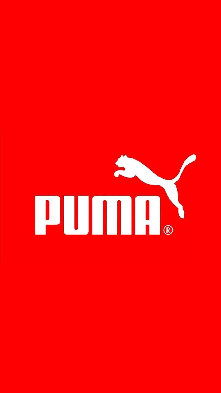 Detail Puma Wallpaper Hd Nomer 48