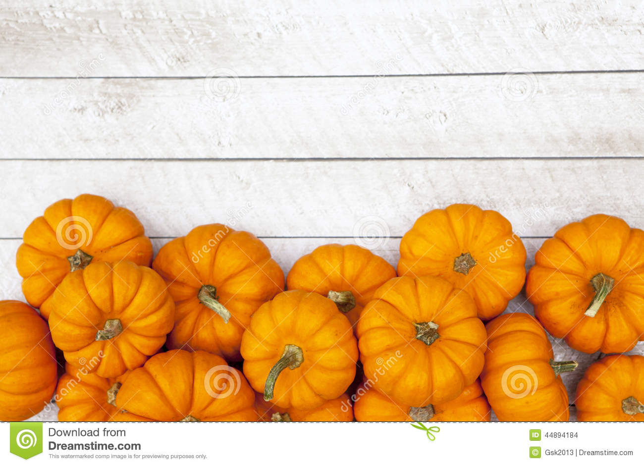 Detail Pumpkin Background Images Nomer 11