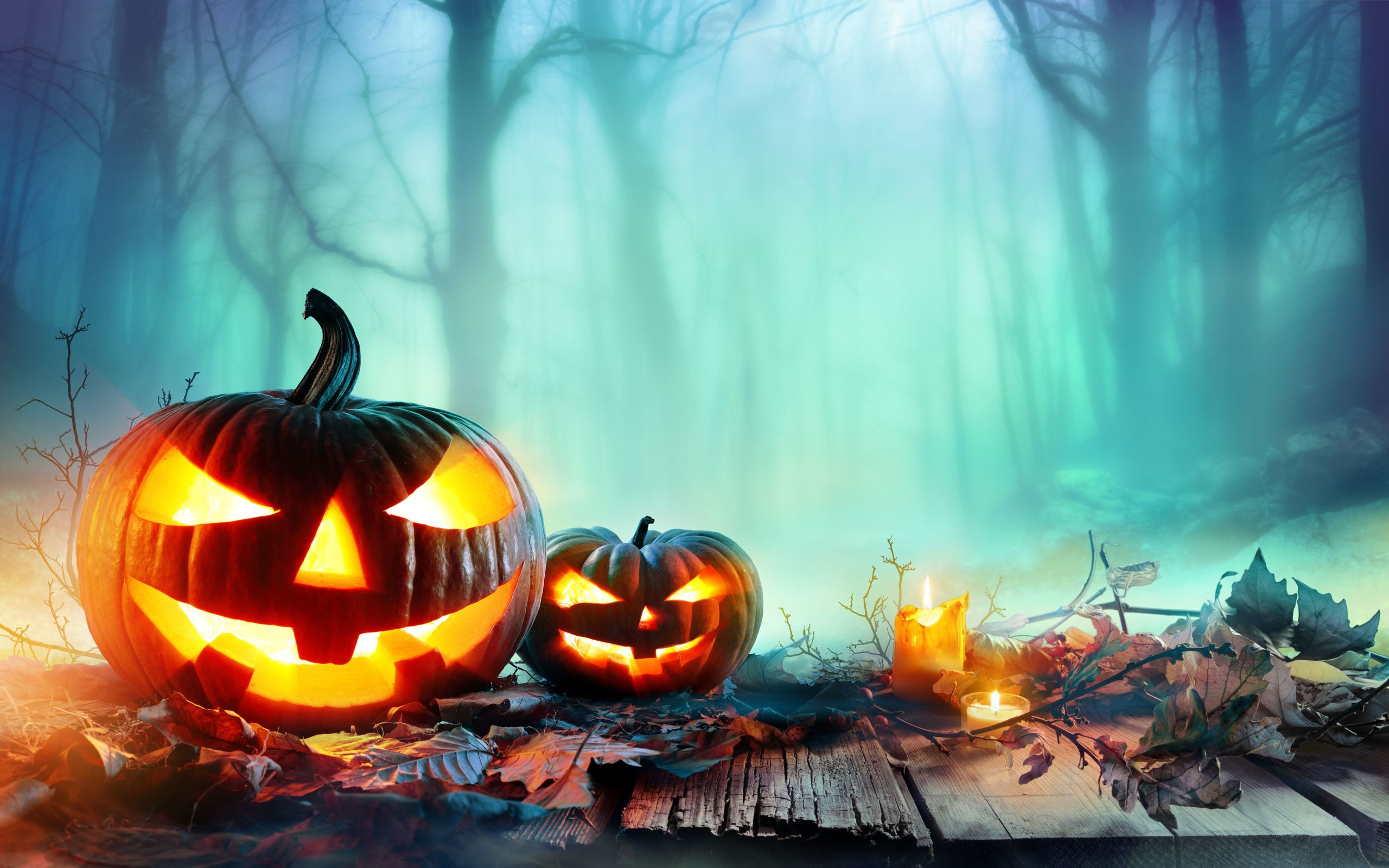 Detail Pumpkin Background Images Nomer 47