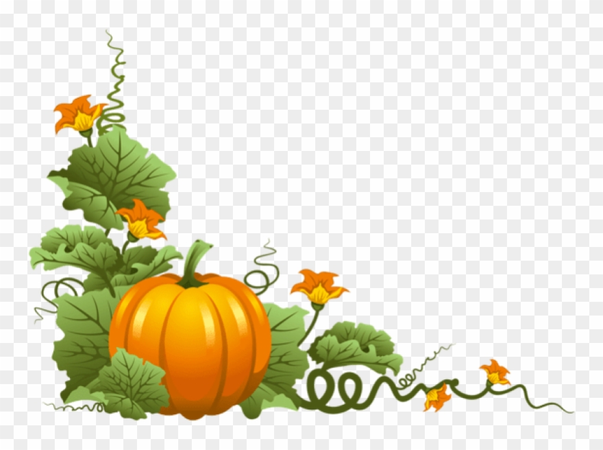 Pumpkin Background Png - KibrisPDR