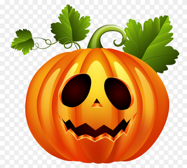 Detail Pumpkin Background Png Nomer 36