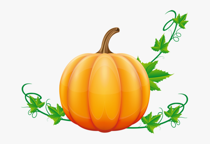 Detail Pumpkin Background Png Nomer 40