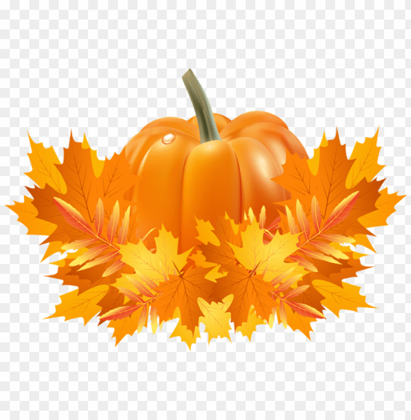 Detail Pumpkin Background Png Nomer 47