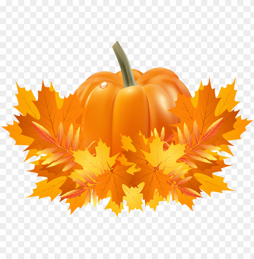 Detail Pumpkin Border Png Nomer 28