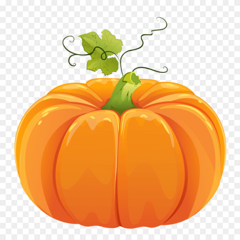 Detail Pumpkin Clipart No Background Nomer 3