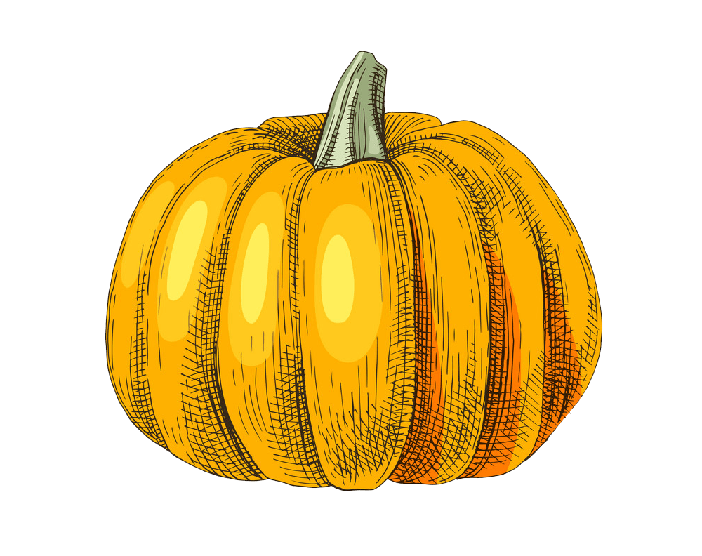 Detail Pumpkin Clipart Transparent Nomer 50