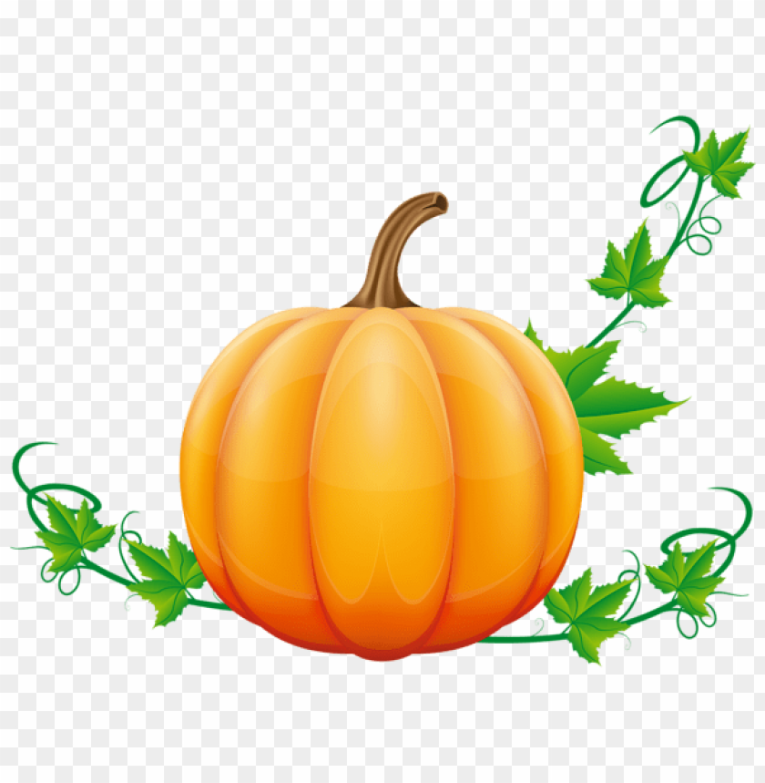 Detail Pumpkin Download Nomer 4