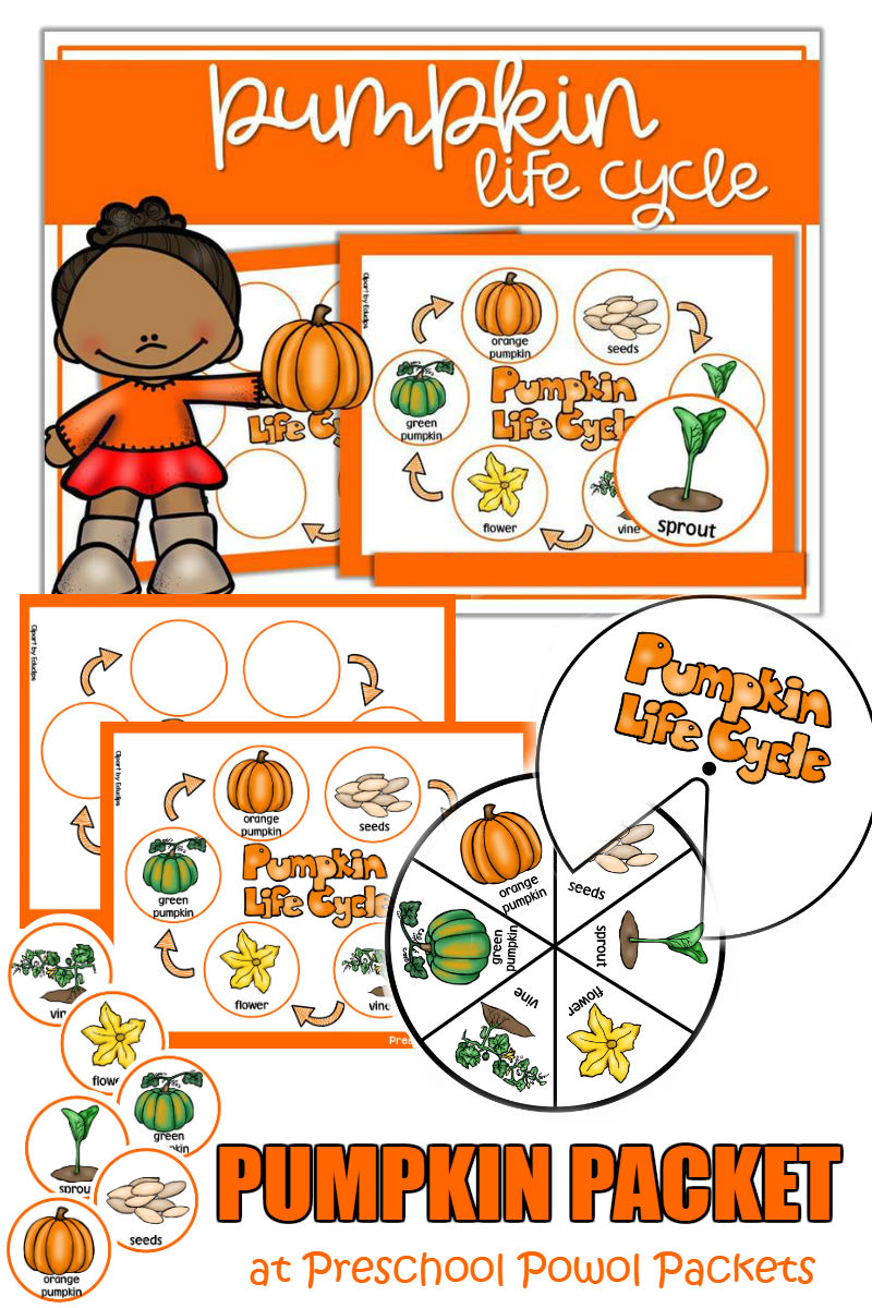 Detail Pumpkin Life Cycle Clipart Nomer 25