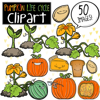 Detail Pumpkin Life Cycle Clipart Nomer 5