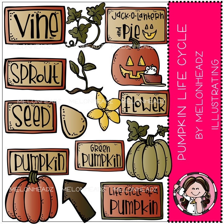 Detail Pumpkin Life Cycle Clipart Nomer 42