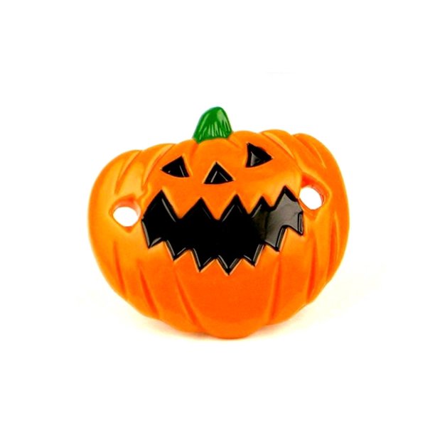 Pumpkin Pacifiers - KibrisPDR