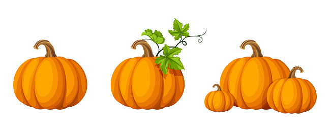 Detail Pumpkin Picture Clipart Nomer 44