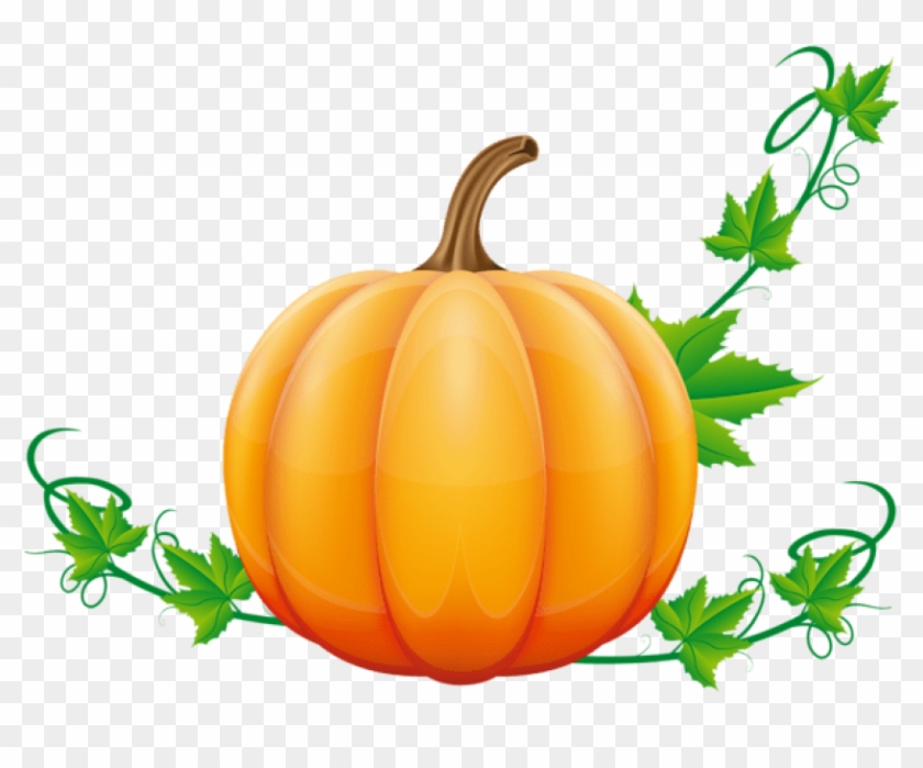 Detail Pumpkin Png Free Nomer 7