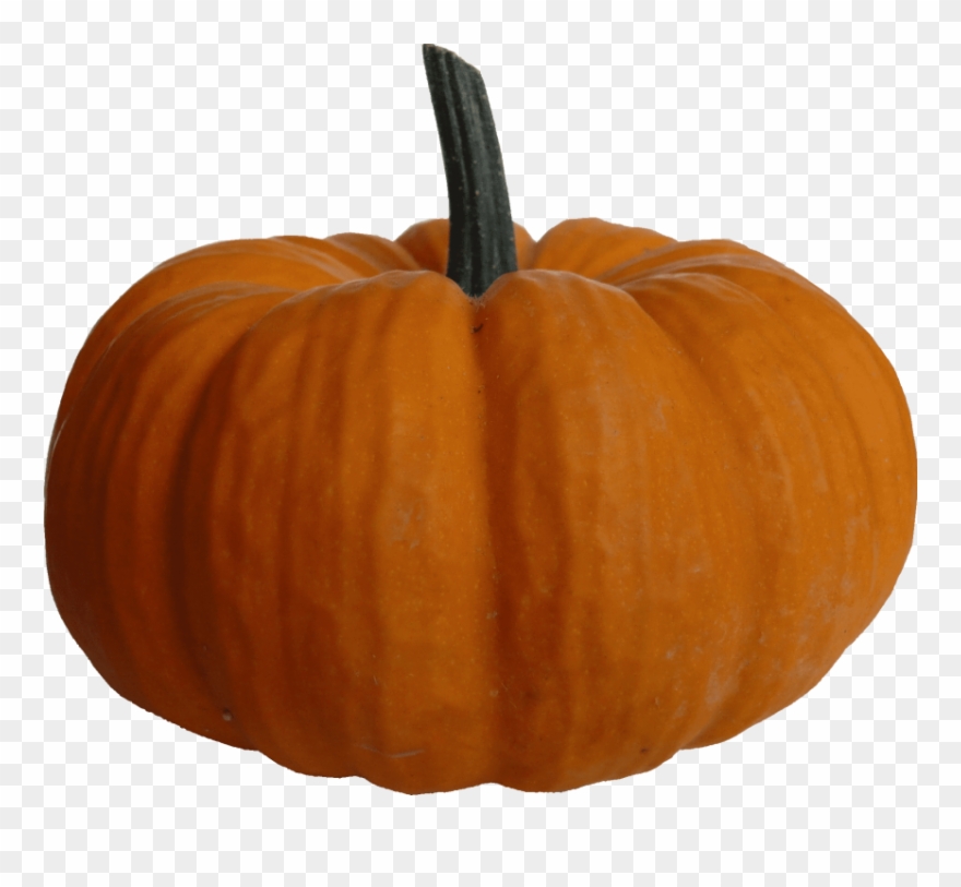 Detail Pumpkin Png Free Nomer 16