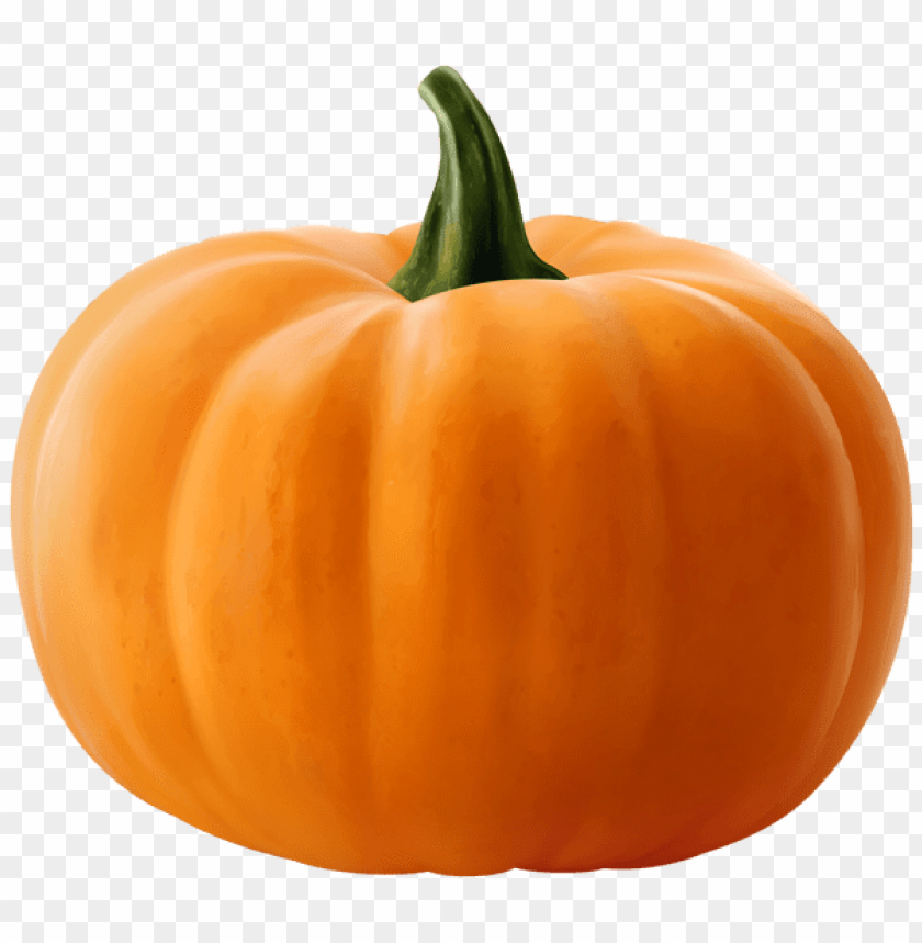 Detail Pumpkin Png Free Nomer 2