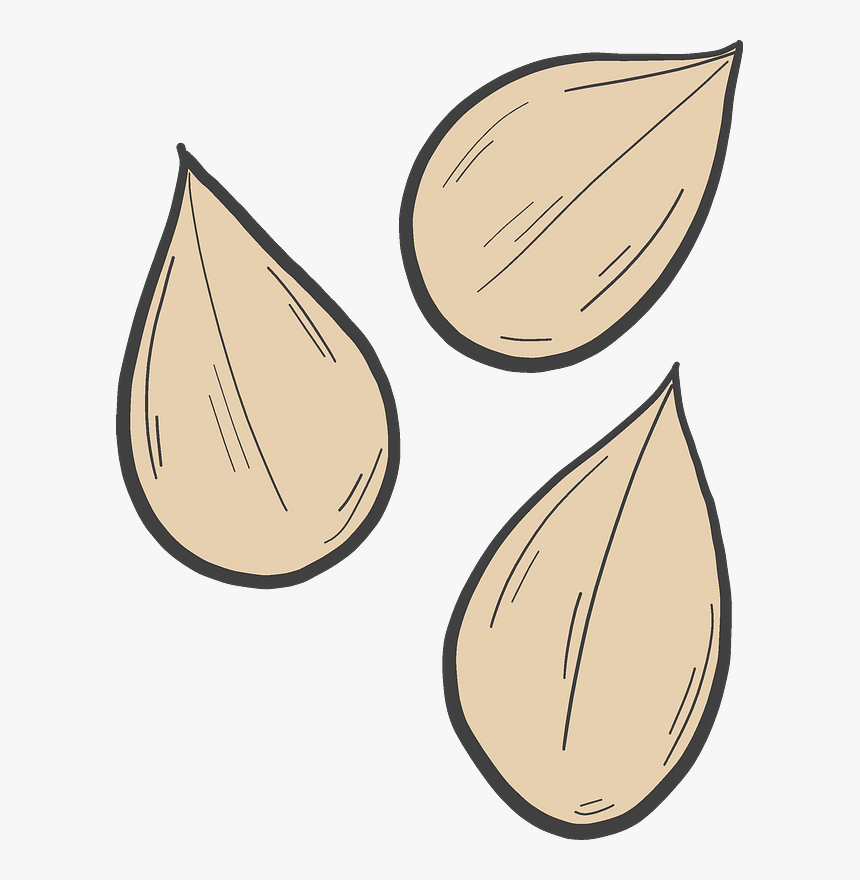 Detail Pumpkin Seed Clip Art Nomer 4