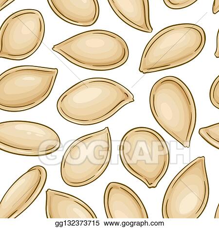 Detail Pumpkin Seed Clip Art Nomer 40