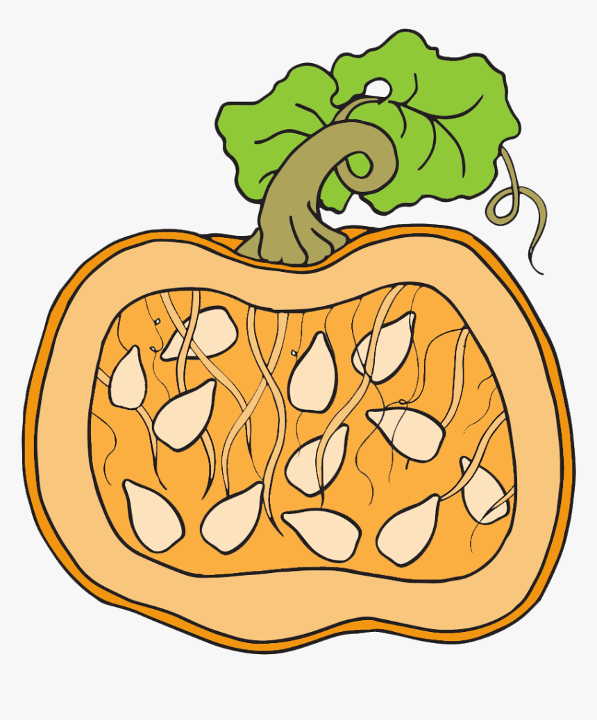 Detail Pumpkin Seed Clip Art Nomer 5
