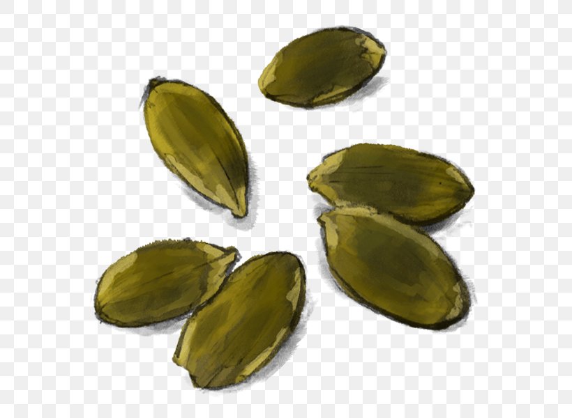 Detail Pumpkin Seed Png Nomer 27