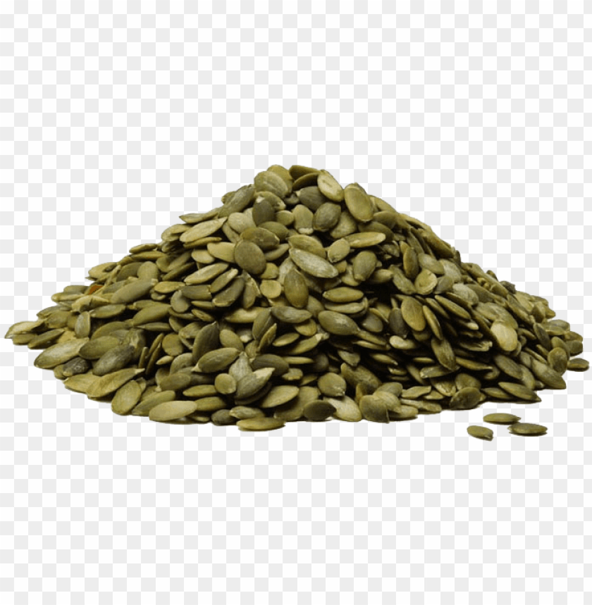 Detail Pumpkin Seed Png Nomer 9