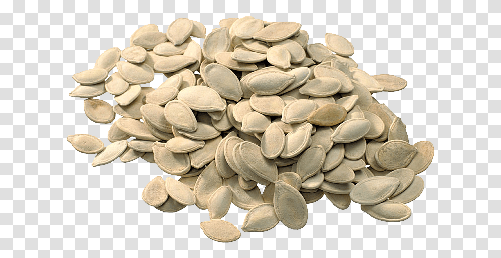 Detail Pumpkin Seeds Png Nomer 24