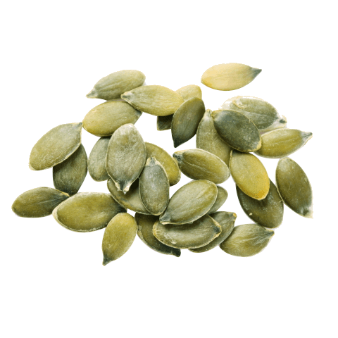 Detail Pumpkin Seeds Png Nomer 4