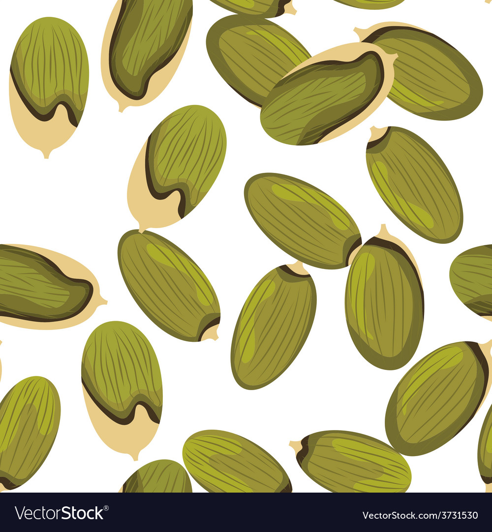 Detail Pumpkin Seeds Png Nomer 36