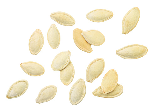 Detail Pumpkin Seeds Png Nomer 37