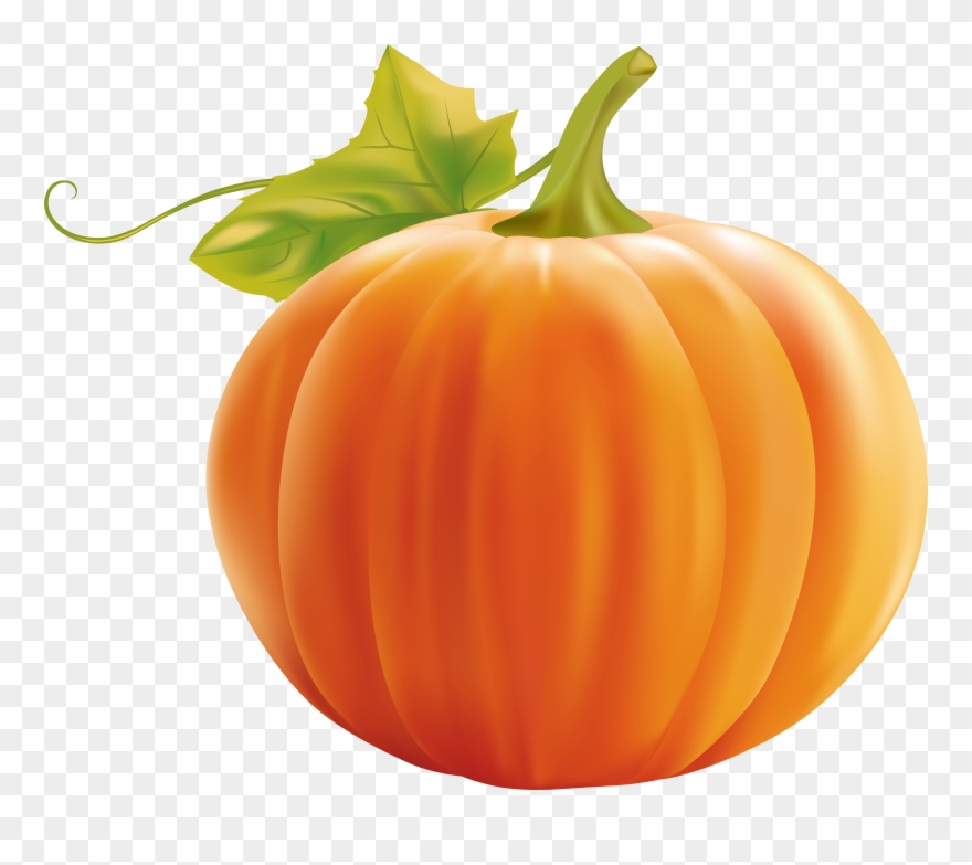 Detail Pumpkin Transparent Nomer 10