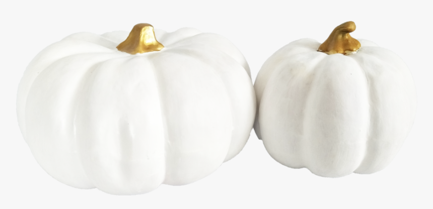 Detail Pumpkin Transparent Nomer 24