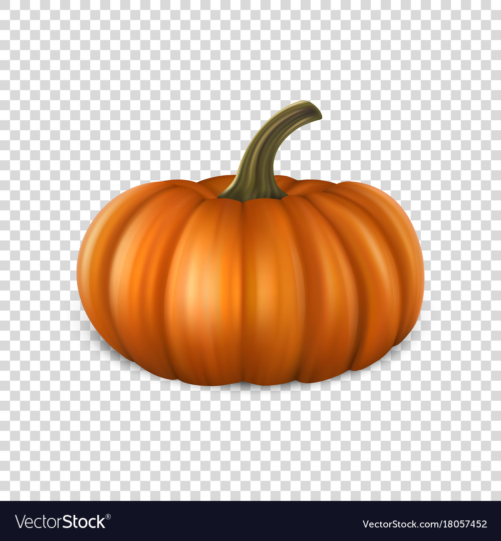 Detail Pumpkin Transparent Nomer 45