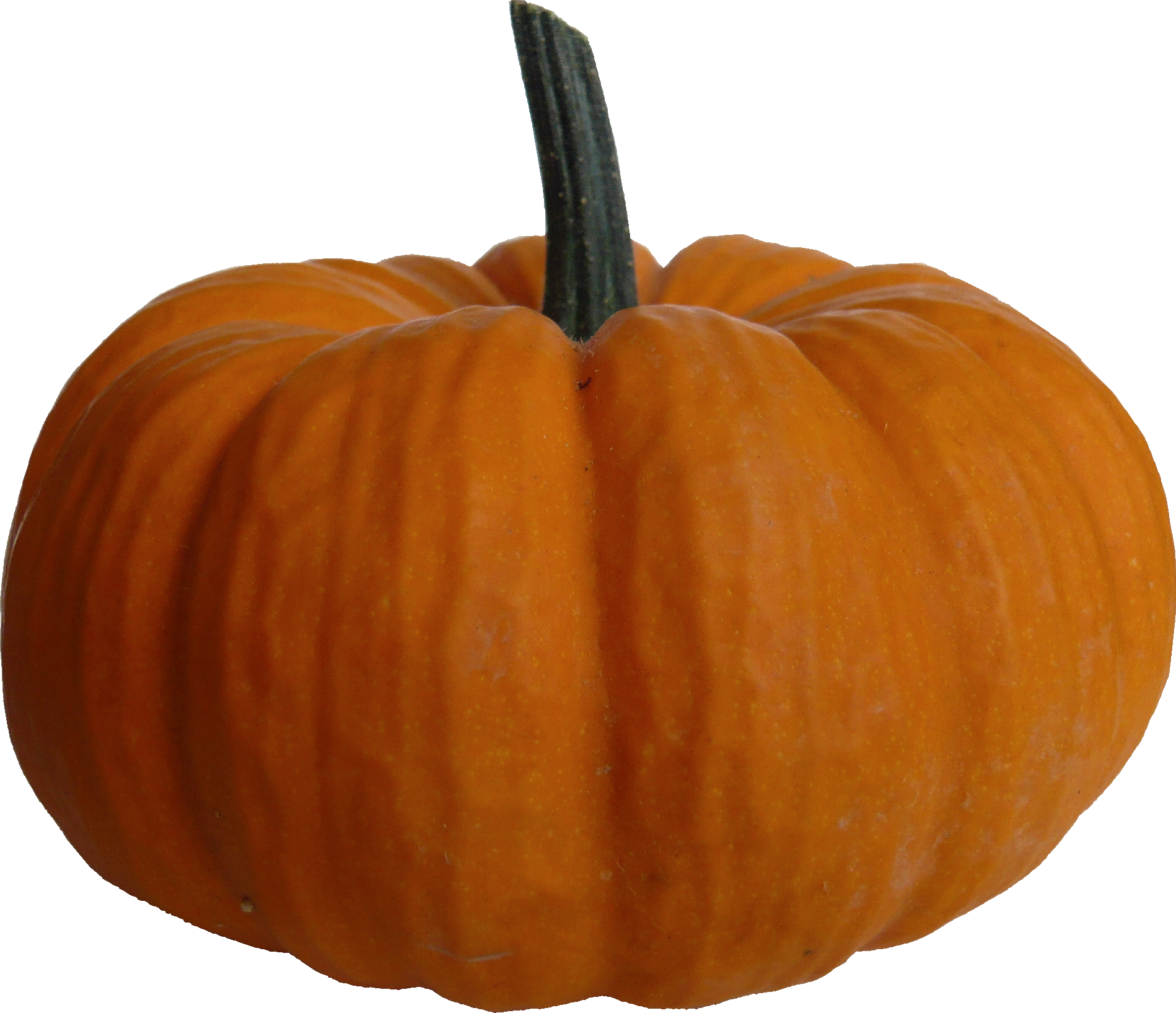 Detail Pumpkin Transparent Png Nomer 6