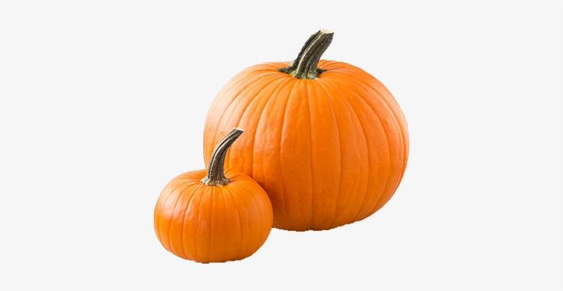 Detail Pumpkin Transparent Png Nomer 15