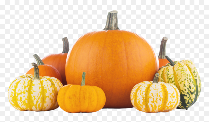 Detail Pumpkin Transparent Png Nomer 22