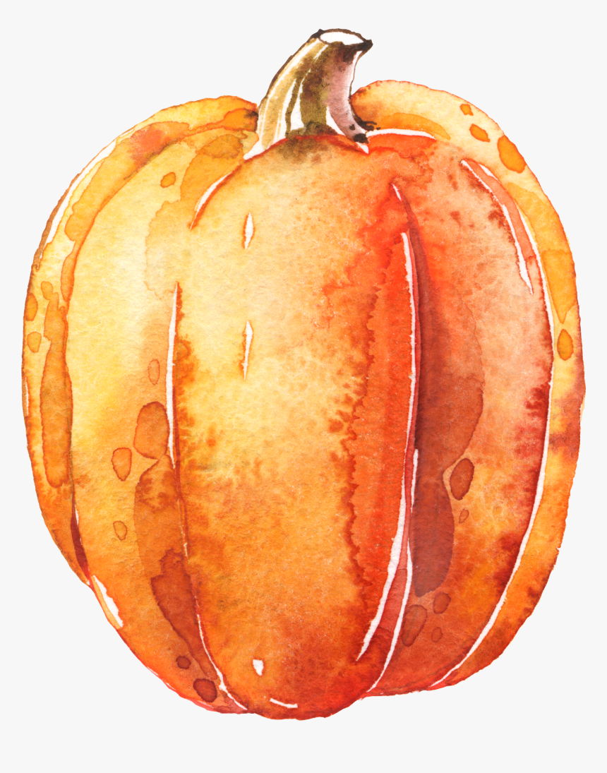 Detail Pumpkin Transparent Png Nomer 33