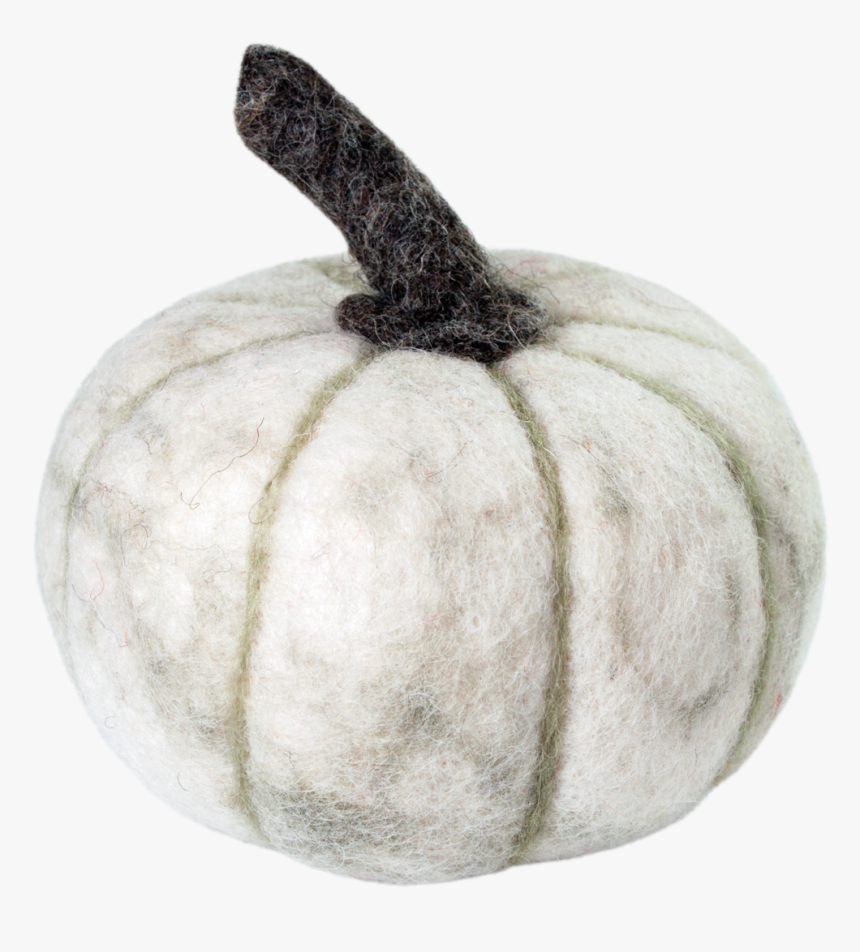 Detail Pumpkin Transparent Png Nomer 47