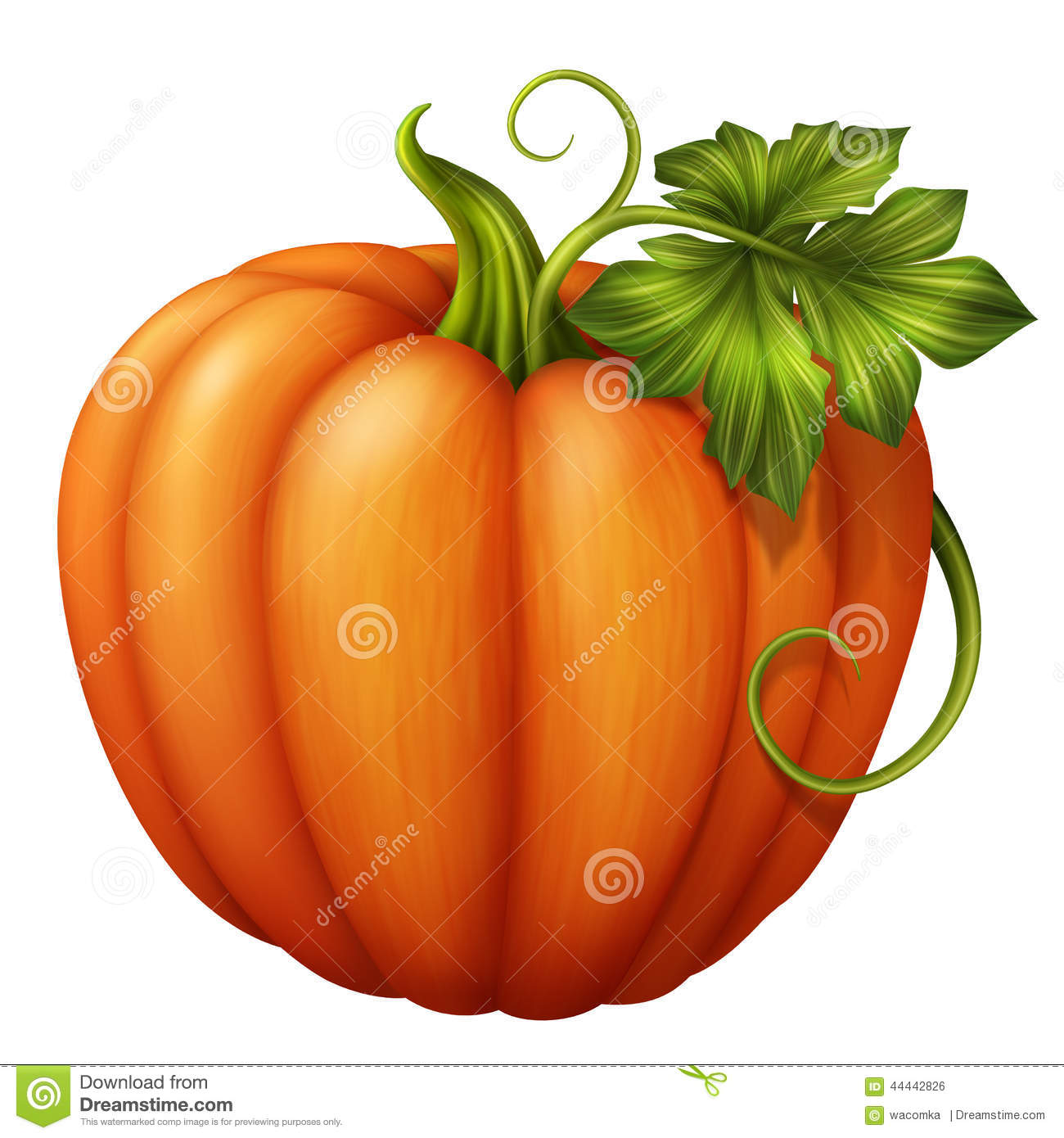 Detail Pumpkin With Leaves Clipart Nomer 14