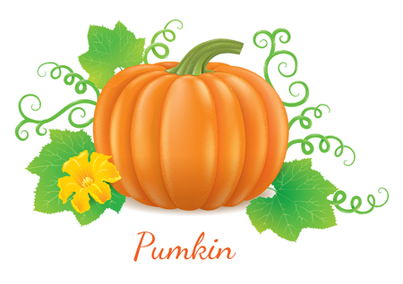 Detail Pumpkin With Leaves Clipart Nomer 25