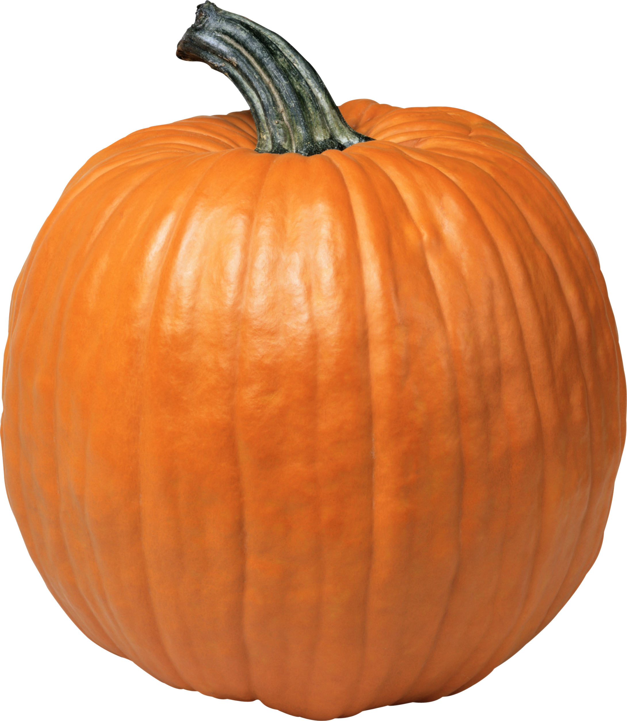 Pumpking Png - KibrisPDR