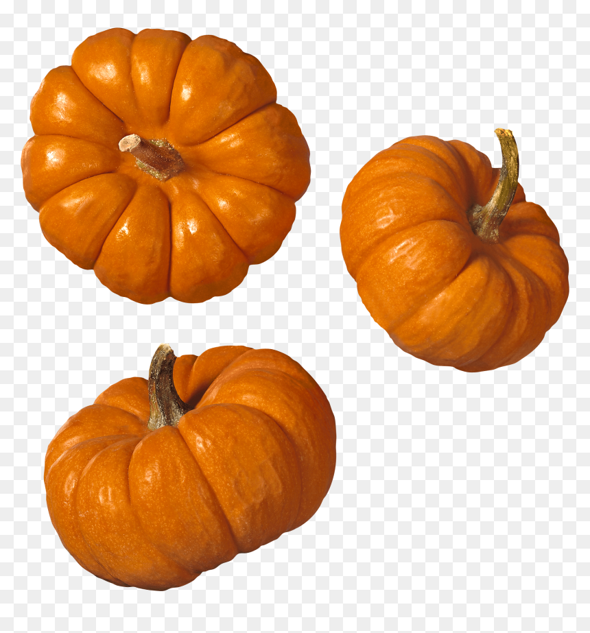 Detail Pumpkins Transparent Background Nomer 14