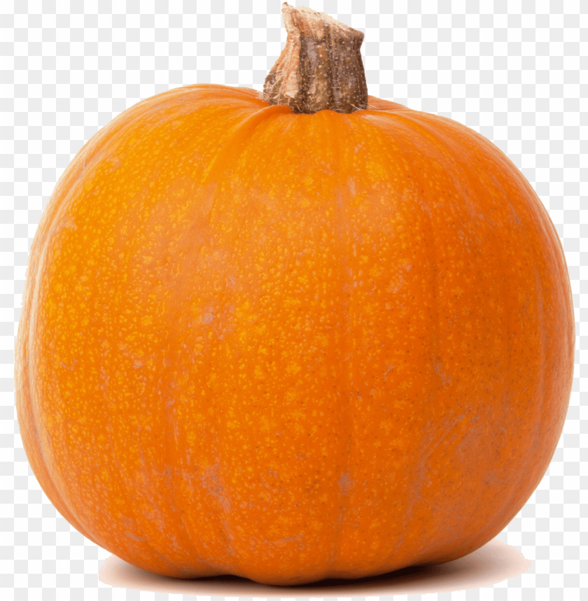 Detail Pumpkins Transparent Background Nomer 17