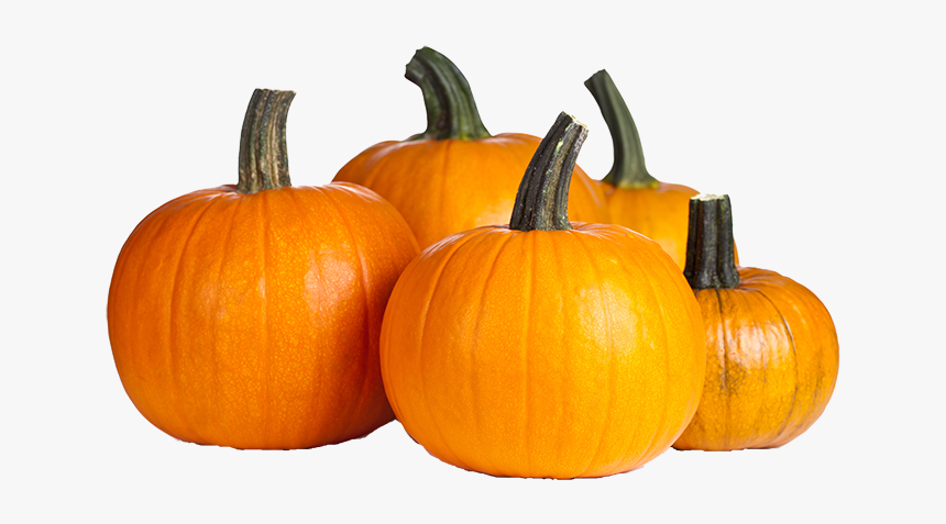 Detail Pumpkins Transparent Background Nomer 18