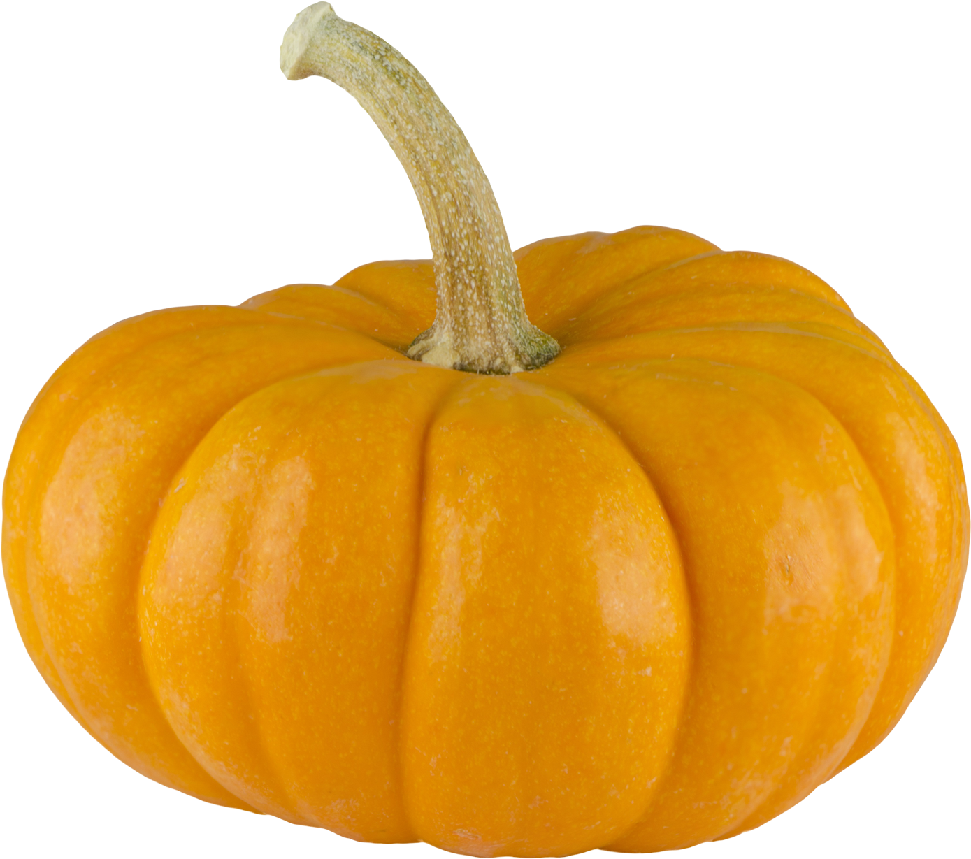 Detail Pumpkins Transparent Background Nomer 20