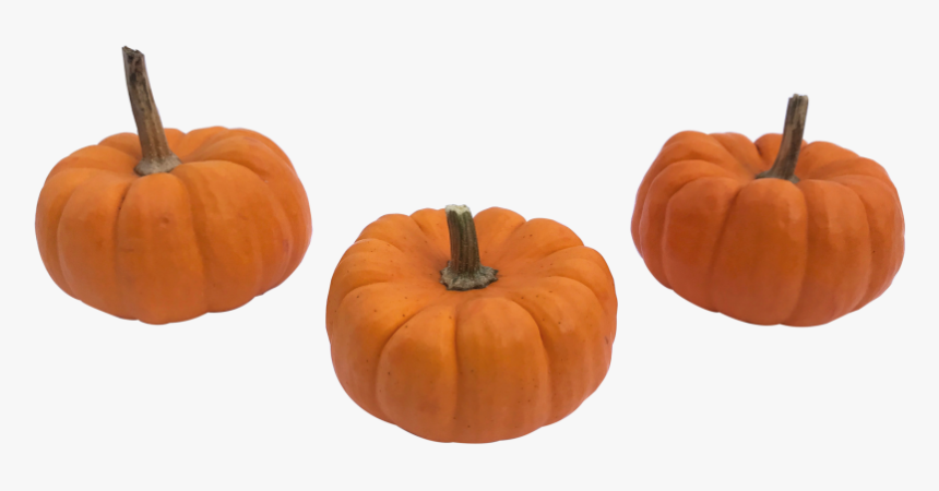 Detail Pumpkins Transparent Background Nomer 23
