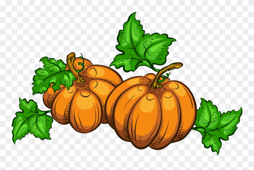 Detail Pumpkins Transparent Background Nomer 25